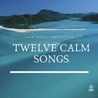 Twelves Calm Songs (Calm Music Compilation) songs mp3