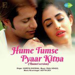 Hume Tumse Pyaar Kitna - Male Sonu Nigam Song Download Mp3