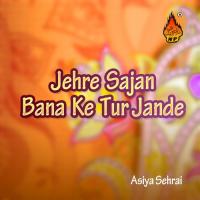 Kar Mere Nal Pyar Channa Asiya Sehrai Song Download Mp3