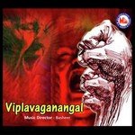 Viplavaganangal songs mp3