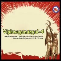 Viplavaganangal 4 songs mp3