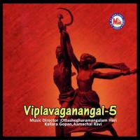 Viplavaganangal 5 songs mp3