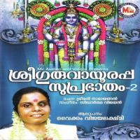Hey Krishnaa Vaikom Vijayalakshmi Song Download Mp3