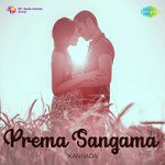 Nanna Aase Hannage (From "Auto Raaja") S. P. Balasubrahmanyam,S. Janaki Song Download Mp3