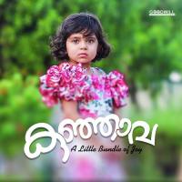Melle Melle Ennarikilaay Jayadevan Pattali Song Download Mp3