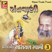Manva Tu Jap Le Hari Ka Naam Narayan Swami Song Download Mp3