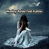 Waday Roldo Tedi Kahter Furoz Wadani Song Download Mp3