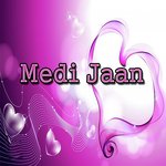 Medi Jaan (Dohry Hi Dohry) Shahid Nawaz Shahid Song Download Mp3