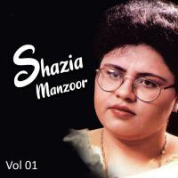 Usko Raok Lo Shazia Manzoor Song Download Mp3
