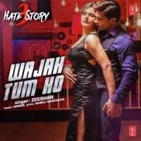 Wajah Tum Ho Zeeshan Song Download Mp3