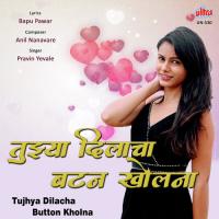 Tujhya Dilacha Button Kholna Pravin Yevale Song Download Mp3