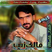 Dohe Kana Malik Zaib Song Download Mp3