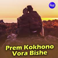 Prem Kokhono Vora Bishe Subhasree Debnath Song Download Mp3