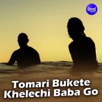 Tomari Bukete Khelechi Baba Go Subhasree Debnath Song Download Mp3