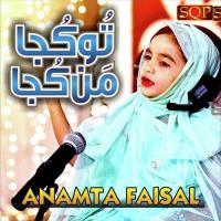 Tu Kuja Man Kuja Anamta Faisal Song Download Mp3