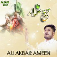 Tegh E Alamdar Ali Akbar Ameen Song Download Mp3
