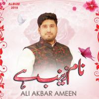 Naam Zainab Hai Ali Akbar Ameen Song Download Mp3