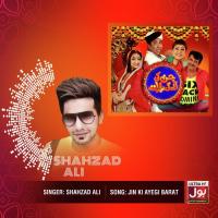 Jin Ki Ayegi Barat Shahzad Ali Song Download Mp3