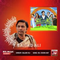 Dil Chura Kay Sajjad Ali Song Download Mp3