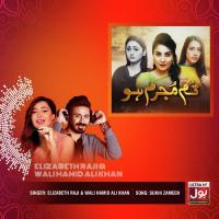 Sukhi Zameen Wali Hamid Ali Khan,Elizabeth Raji Song Download Mp3
