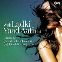 Aaj Tum Se Bichade - Jagjit Singh (From "Tum Laut Aao") Jagjit Singh,Chitra Singh Song Download Mp3