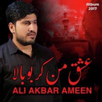 Zainab (sa) Yateem Ho Gayi Ali Akbar Ameen Song Download Mp3