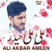 Ali Ali Haider (as) Ali Akbar Ameen Song Download Mp3