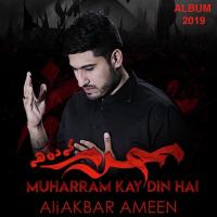 Karbala Humko Bulalo Ali Akbar Ameen Song Download Mp3