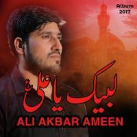 Labbaik Ya Ali Ya Murtaza Ali Akbar Ameen Song Download Mp3