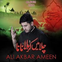 Chala Main Karbala Nana Ali Akbar Ameen Song Download Mp3