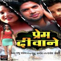 Prem Deewane songs mp3