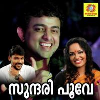 Parichithamereyillengilum Vidhu Prathab Song Download Mp3