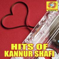 Hits of Kannur Shafi songs mp3