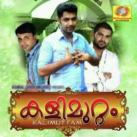 Vidaparayan Saleem Kodathoor Song Download Mp3
