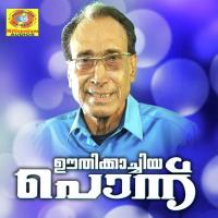 Oothikachiya Ponnu songs mp3