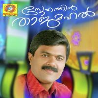 Snehathin Thajmahal songs mp3