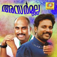 Neelanilave Viswanath Song Download Mp3