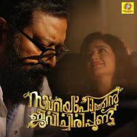 Aathire Aathire K .S. Chithra,Vijay Yesudas Song Download Mp3