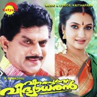 Paadanariyilla (Female Version) K. S. Chithra Song Download Mp3