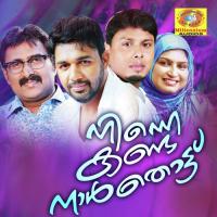 Ninne Kandanal Thattu songs mp3