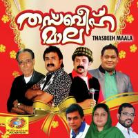Rabbe Ya Rahmane Shuhaib Vadakara Song Download Mp3
