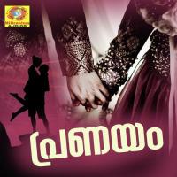 Pranayam Athu Nizam Song Download Mp3