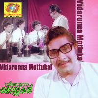 Kattiloru Malarkulam Rajeshwari,Shantha Song Download Mp3