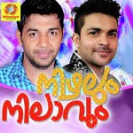 Nizhalum Nilavum songs mp3