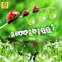 Puthoru Poomaram Pole Pradeep Palluruthi Song Download Mp3