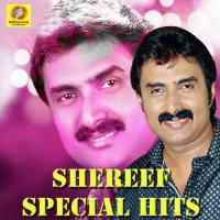 Shareef Special Hits songs mp3