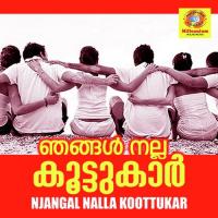 Njangal Nalla Koottukar songs mp3
