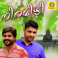 Niramizhi songs mp3