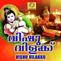 Sree Krishnana Karnamritham Vijayan Song Download Mp3