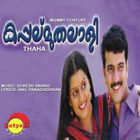 Ithuvare Vineeth Sreenivasan,Anupama Vijay Song Download Mp3